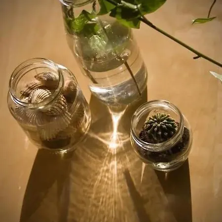 Lejlighed Casa Alpi 44 - Two Bedroom Flat With Huge Balcony