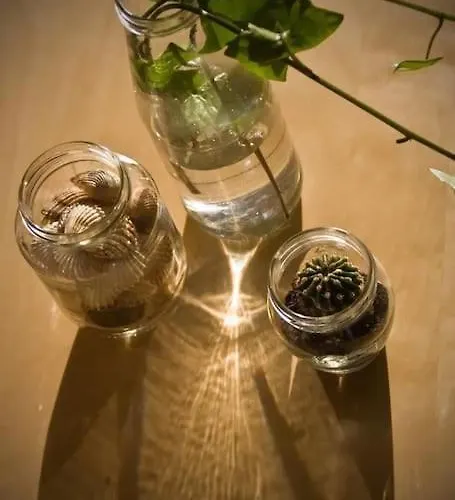 Apartamento Casa Alpi 44 - Two Bedroom Flat With Huge Balcony